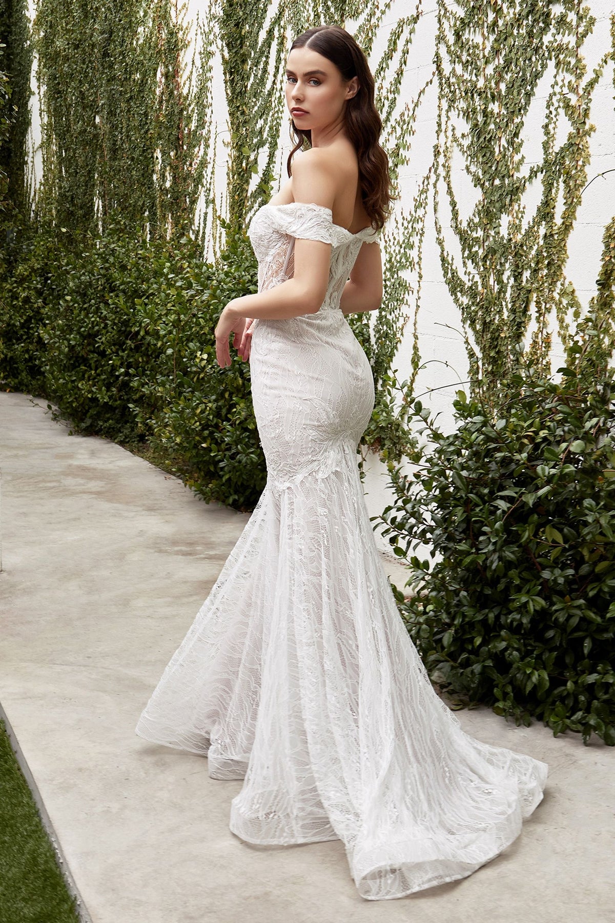 Maxi Dress – Occasion Gown for Weddings & Events